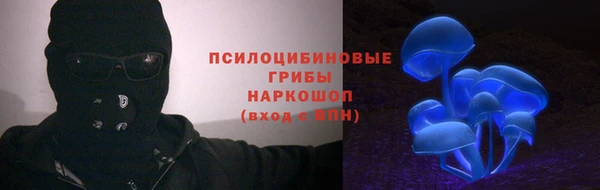 соль ск Елабуга